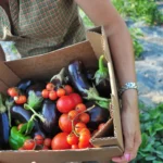 starting an agricultural business in italy